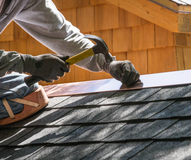 Best Roof Gutter Cleaning  in Lake Delton, WI